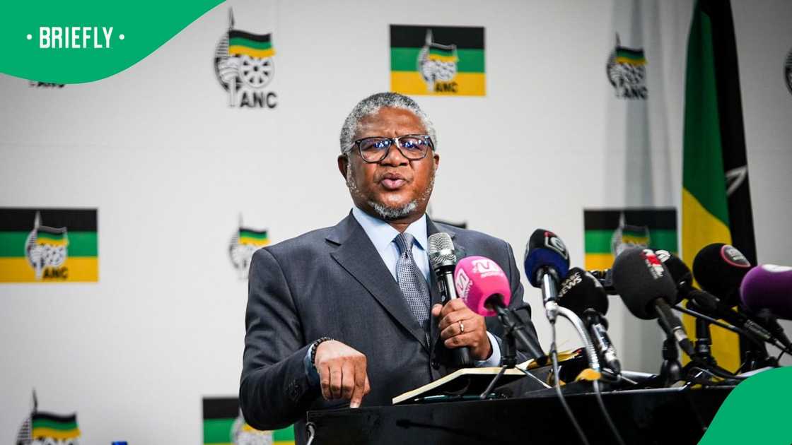 Fikile Mbalula says ANC supports March and March anti-illegal ...