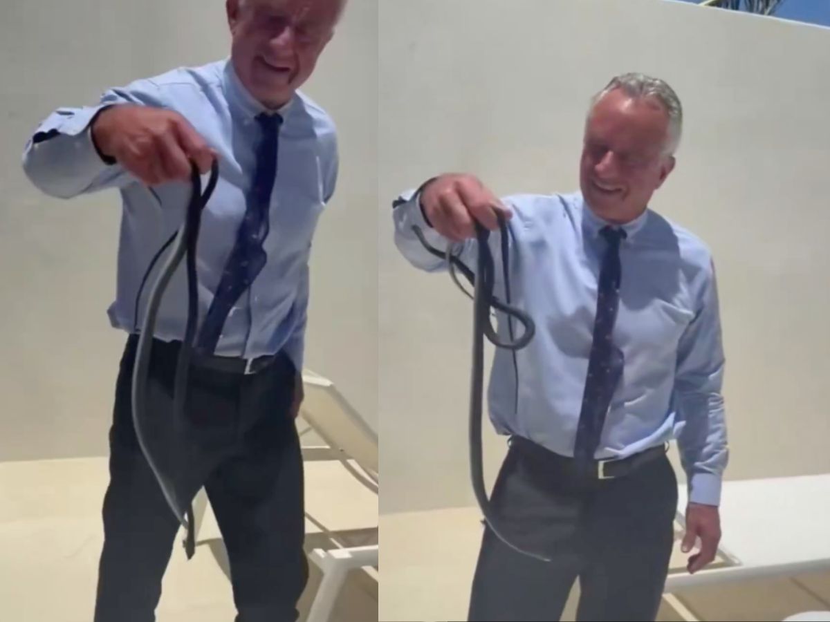 US secretary of health RFK Jr. catches racer snake with bare hands ...