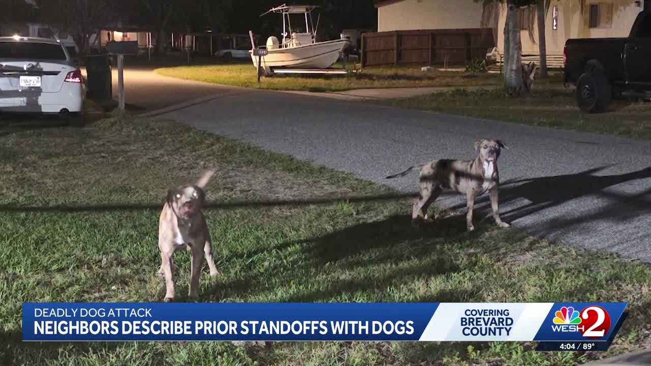 Neighbors complain of aggressive dogs where woman was mauled to death ...