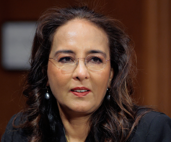 Harmeet Dhillon to Newsmax: Colorado Next in Gun Law Fight