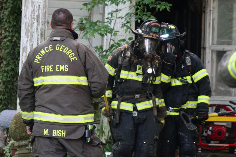 At least 15 cats dead after house fire in Prince George
