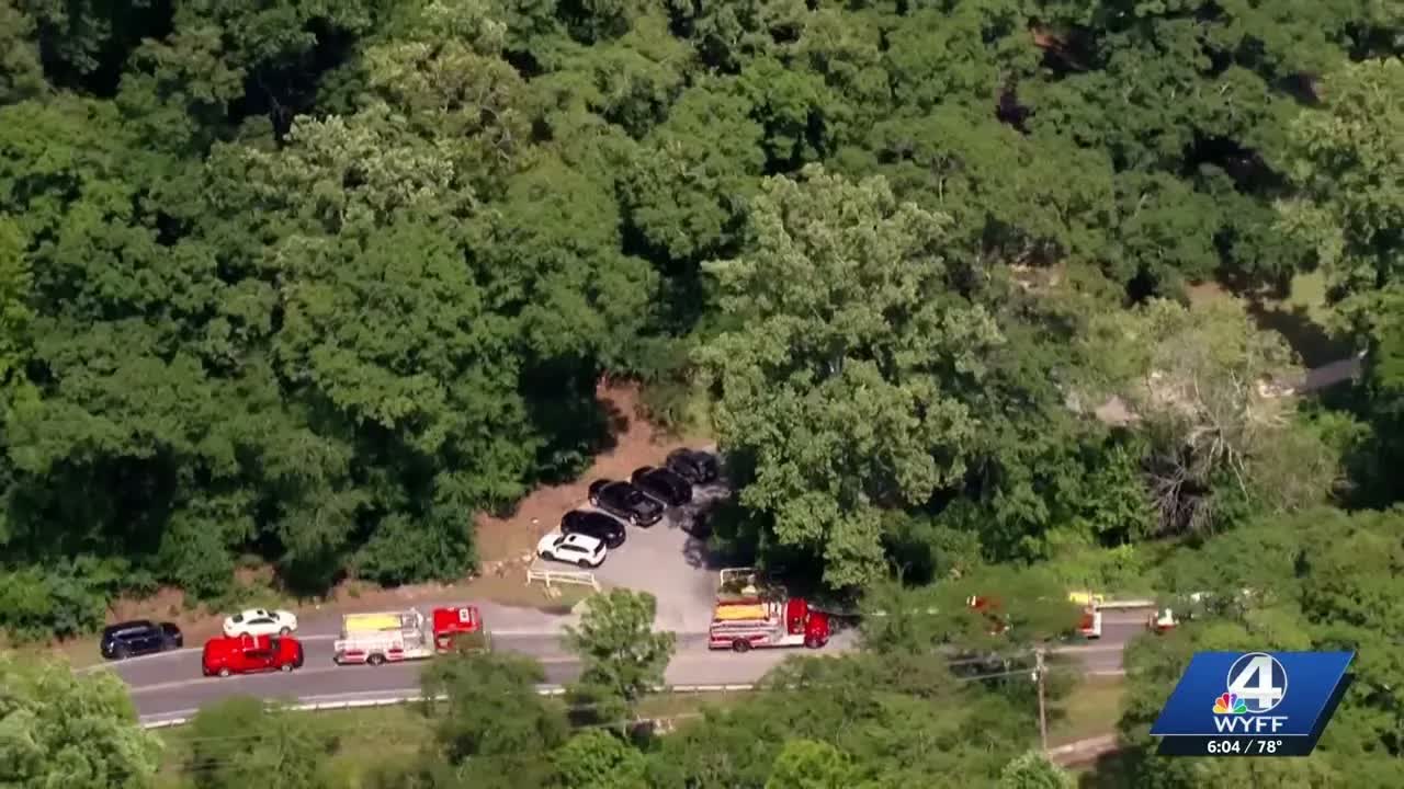 Witnesses recount harrowing moments after tree falls on child and adult