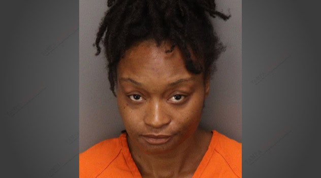St. Petersburg Mom Charged After Fleeing Fatal Crash With Her Children ...