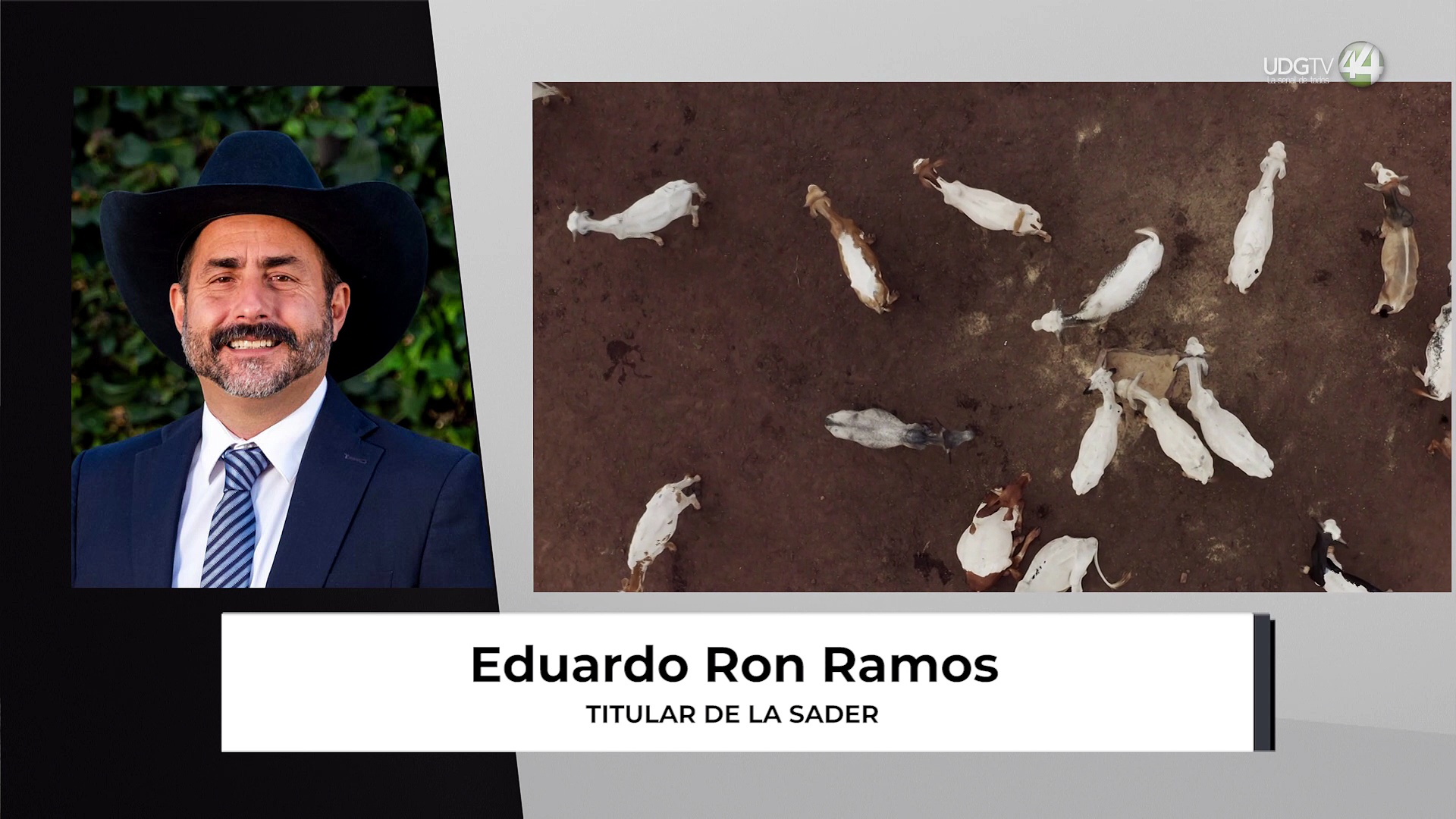 Jalisco refuerza acciones contra el gusano barrenador tras repunte con ...