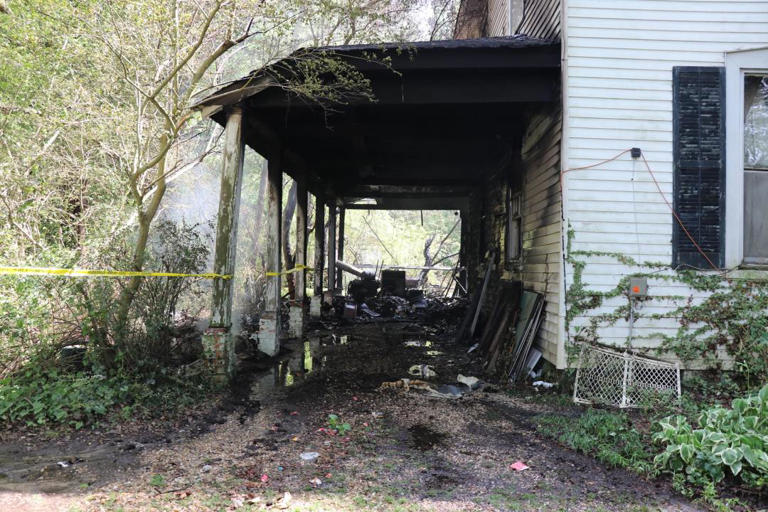 At least 15 cats dead after house fire in Prince George