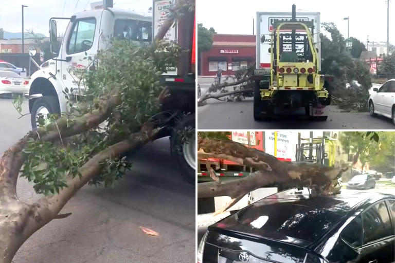 Terrifying moment row of cars totaled on LA street — and the shocking ...