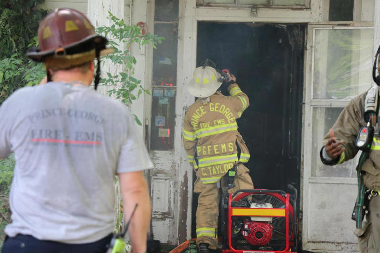 At least 15 cats dead after house fire in Prince George