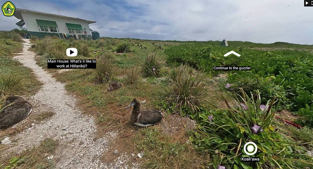 State launches virtual field trips to remote Hawaii seabird sanctuaries