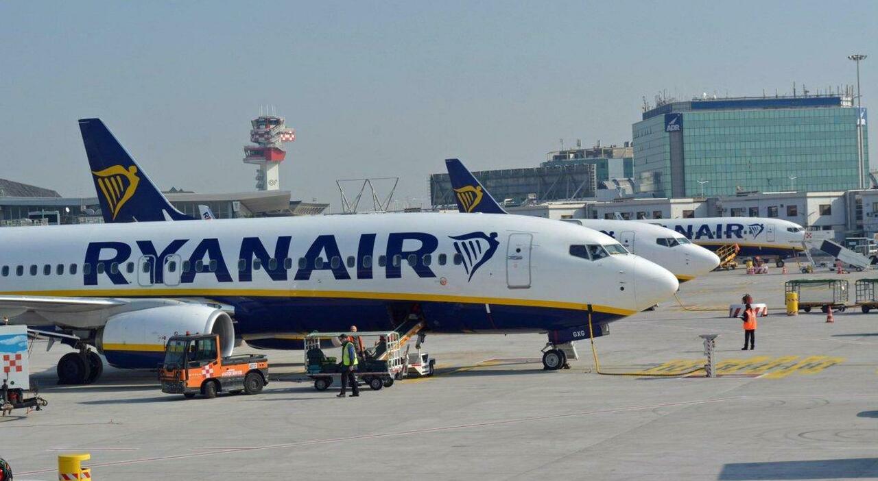 Hostess e steward, ecco il linguaggio “segreto” a bordo degli aerei: da ...