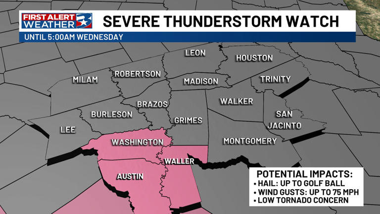 A severe thunderstorm watch has been issued for the Brazos Valley