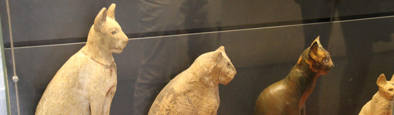why-ancient-egyptians-were-obsessed-with-cats