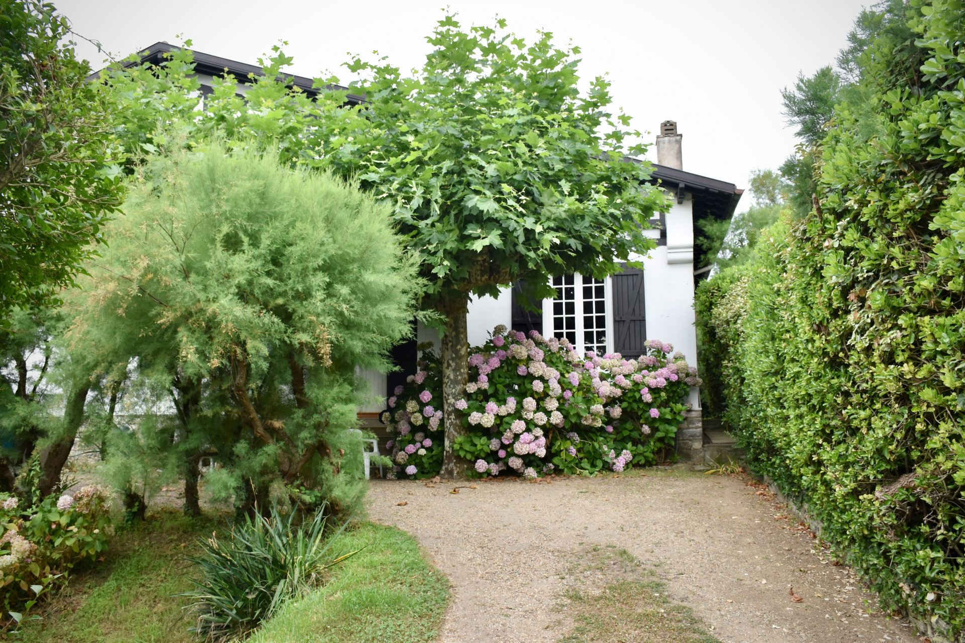 BEURER HL 76 Épilateur | Douceur main image 0