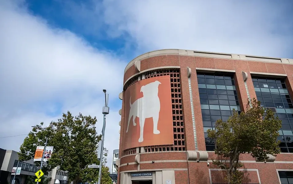 Gaming firms urged to build stronger brand systems as they expand
