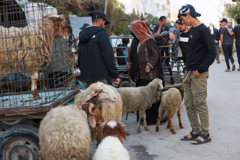 No livestock but still hope: Palestinians prepare for Eid al-Adha in Gaza