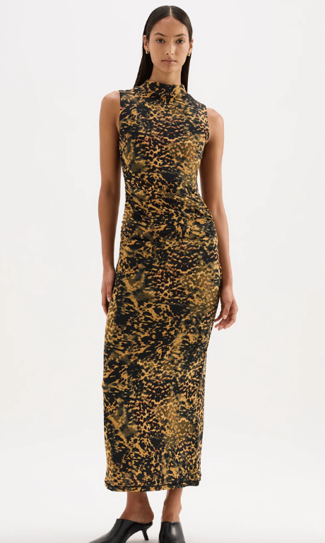 Winter Mesh Dress