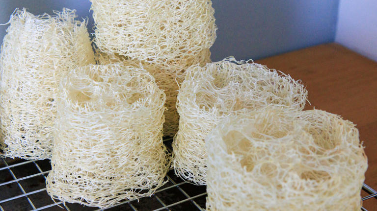 Visual Reference: Not Toilet Paper Tubes The More Natural Bathroom Staple To