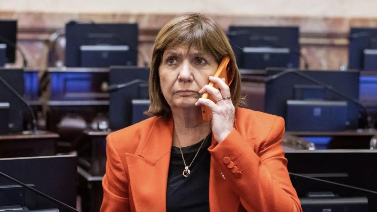 Patricia Bullrich, la jefa del oficialismo con agenda propia