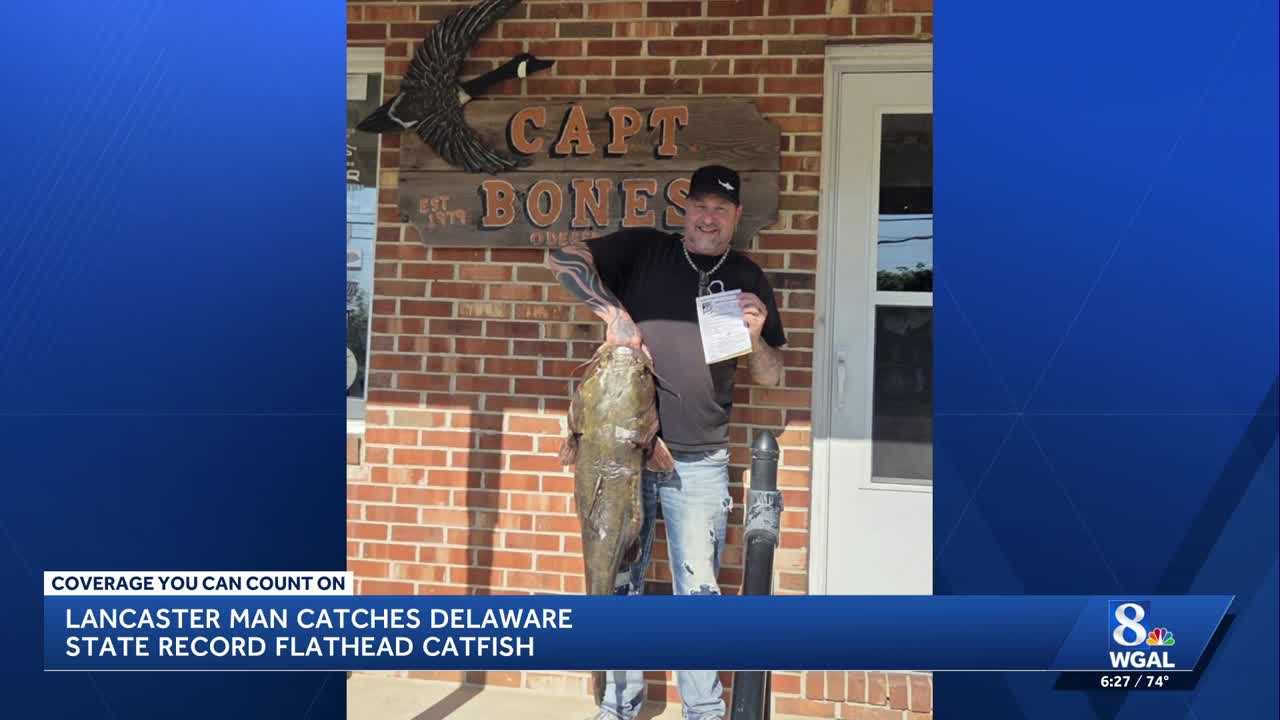 State record | Lancaster County man caught a record-breaking flathead ...