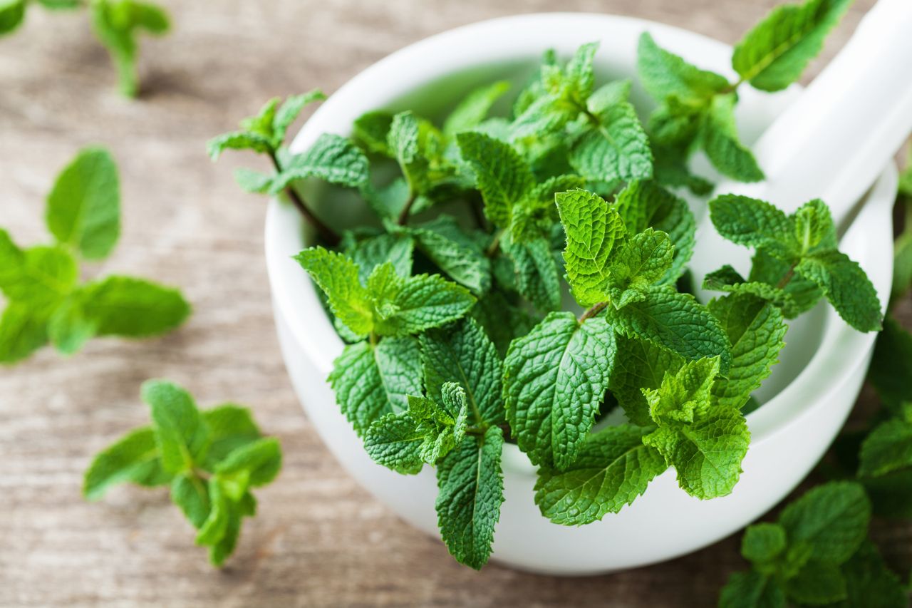 fresh mint leaves in a white bowl and mortar on a wood table