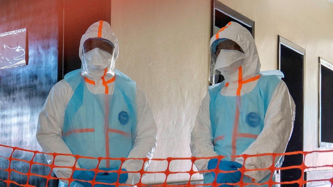 5 Ebola Patients Recover in DRC, WHO Reports