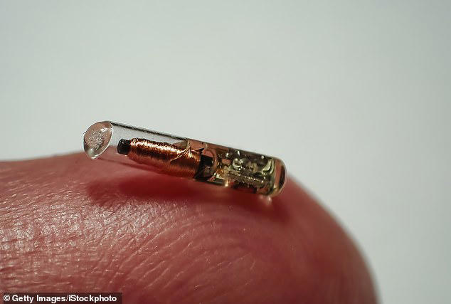 Tech bosses suggested that microchips could be inserted under the skin of offenders to track their movements