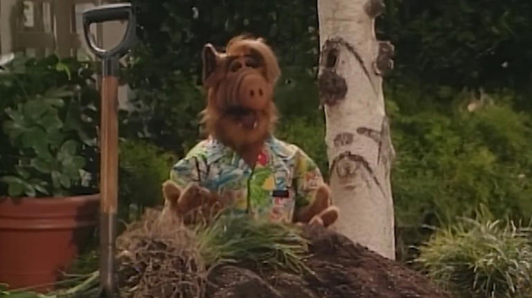 The real reason why ALF shot a Gilligan's Island crossover episode