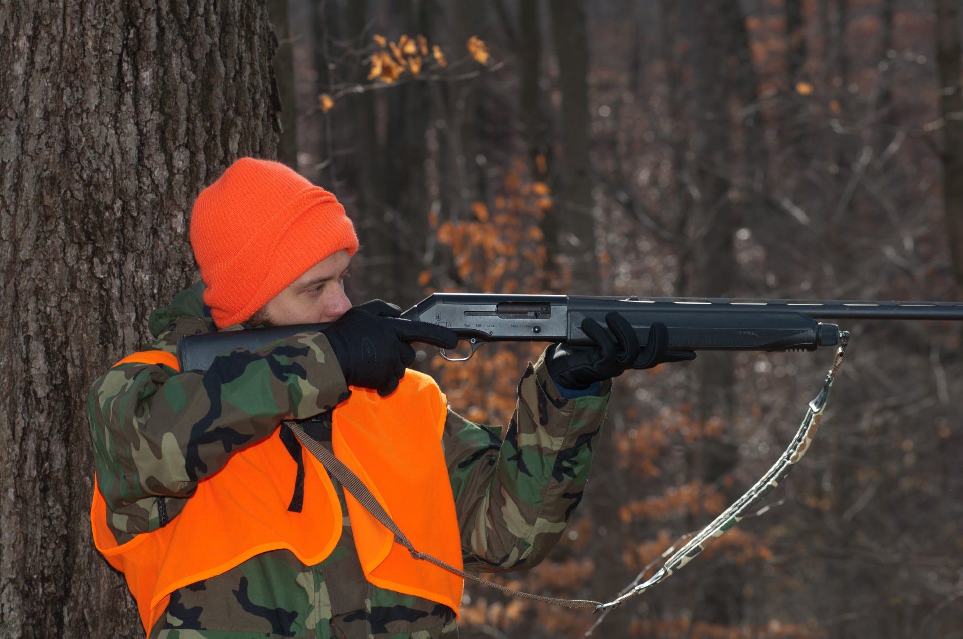 New York state launches awards program for hunters and trappers