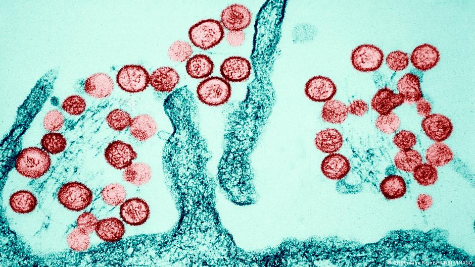 What is hantavirus?
