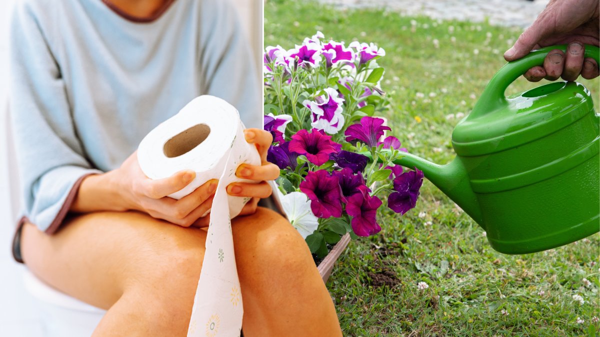 Supermetoden: därför ska du vattna dina blommor med kiss