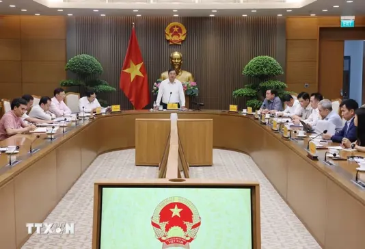 Phó Thủ tướng Thường trực Phạm Gia Túc chủ trì cuộc họp về tình hình triển khai, phân phối xăng E10. (Ảnh: Lâm Khánh/TTXVN)