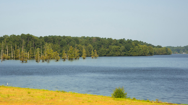 Louisiana's stunning lake escape is a state park idyll with cozy cabins ...