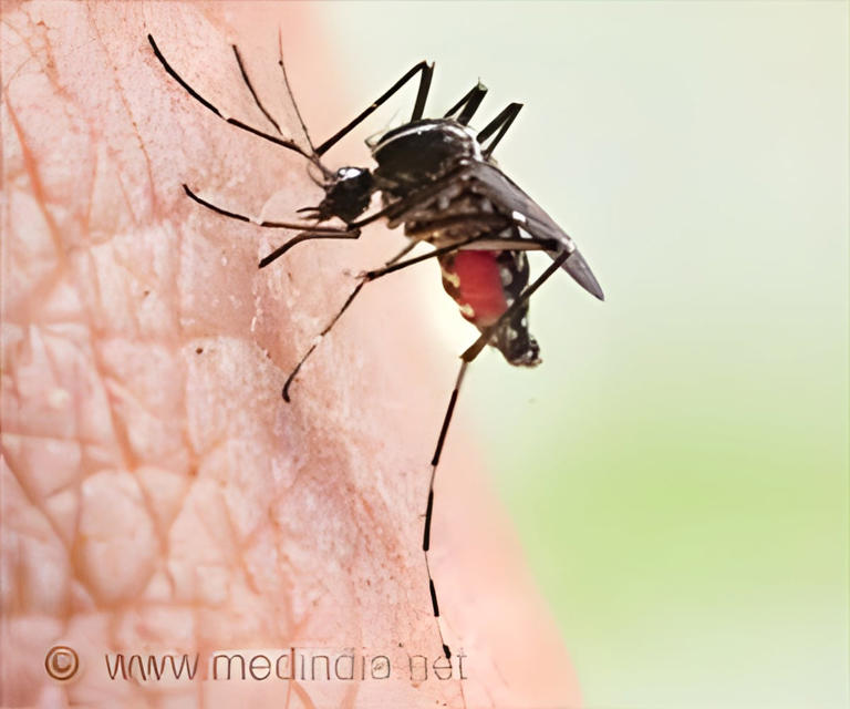 Dengue alert: Symptoms, warning signs and how to protect your family