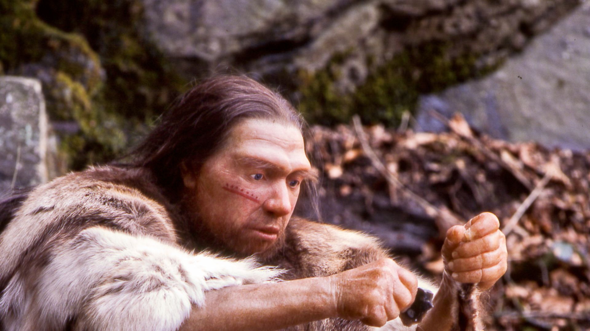 Scientists now think Neanderthals may have been physically stronger—but ...