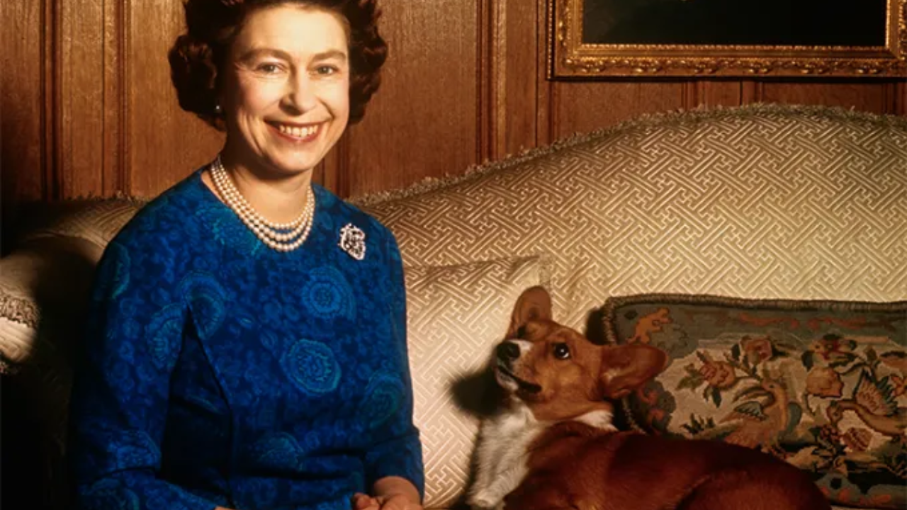How Queen Elizabeth II reportedly hid her corgi Susan onto the 1947 ...