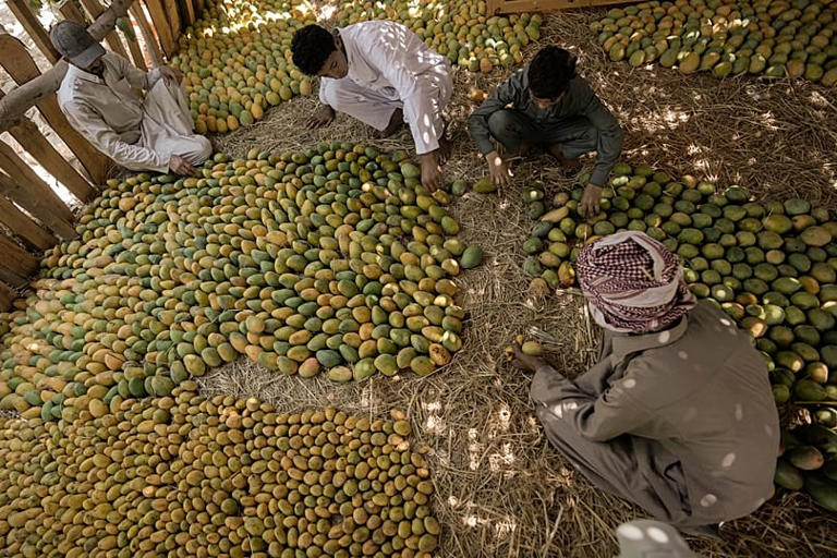 file photo AP Photo