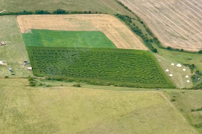 Farm near Lewes set to open seven-acre maize maze this summer