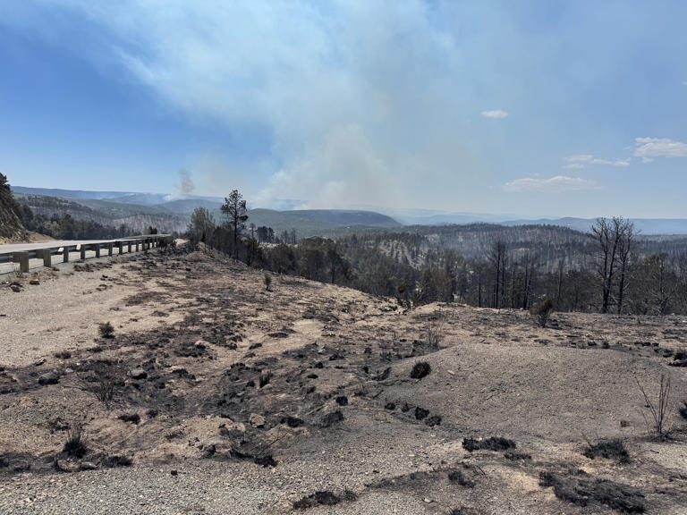 Researchers seek input on recovery after South Fork and Salt fires ...