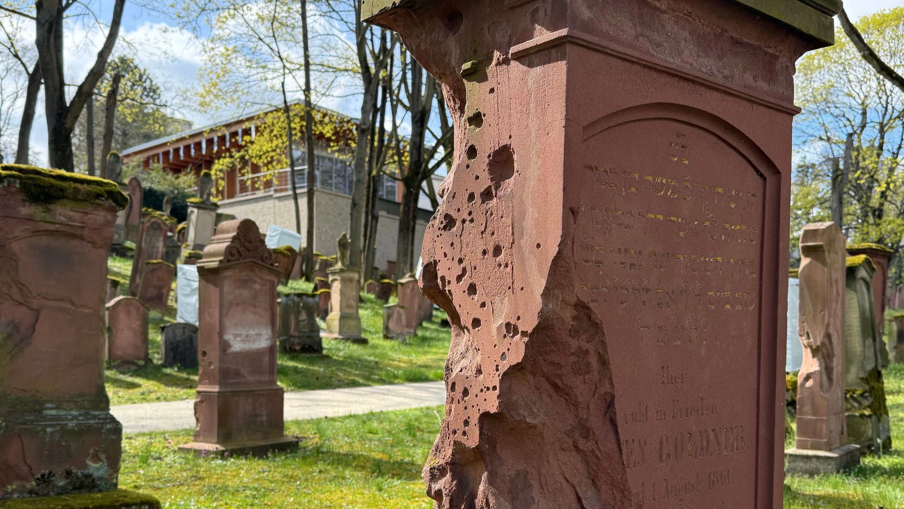 Welterbetag in Mainz: Führungen über den alten jüdischen Friedhof