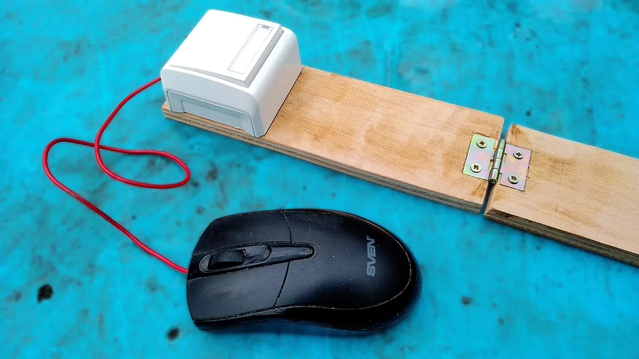 Idea geniale: trasforma un vecchio mouse in qualcosa di fantastico!