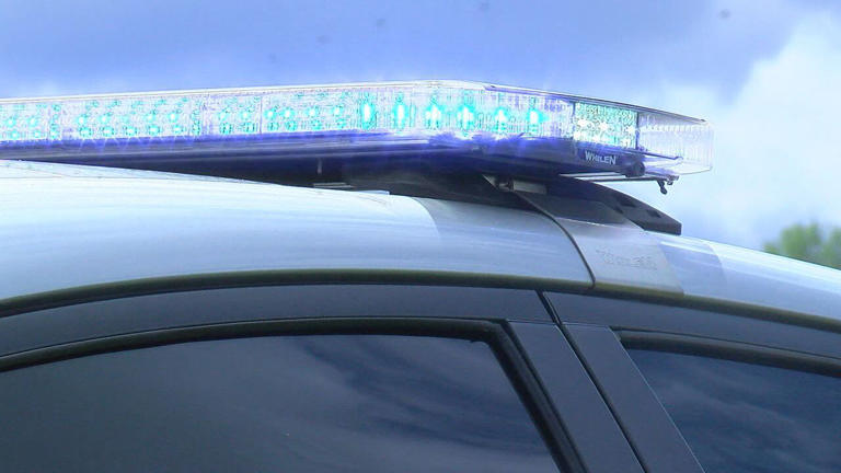 Family, including multiple children, escapes house fire in Pine Hill ...