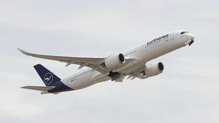 so-fliegt-die-nationalelf-ab-frankfurt-zur-wm