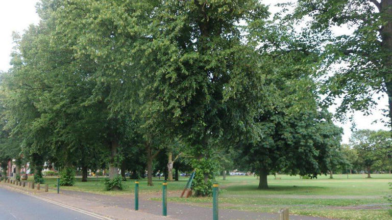 Curated visual reference: Fresh Look at Man Banned From Keeping Dogs After Park Attack