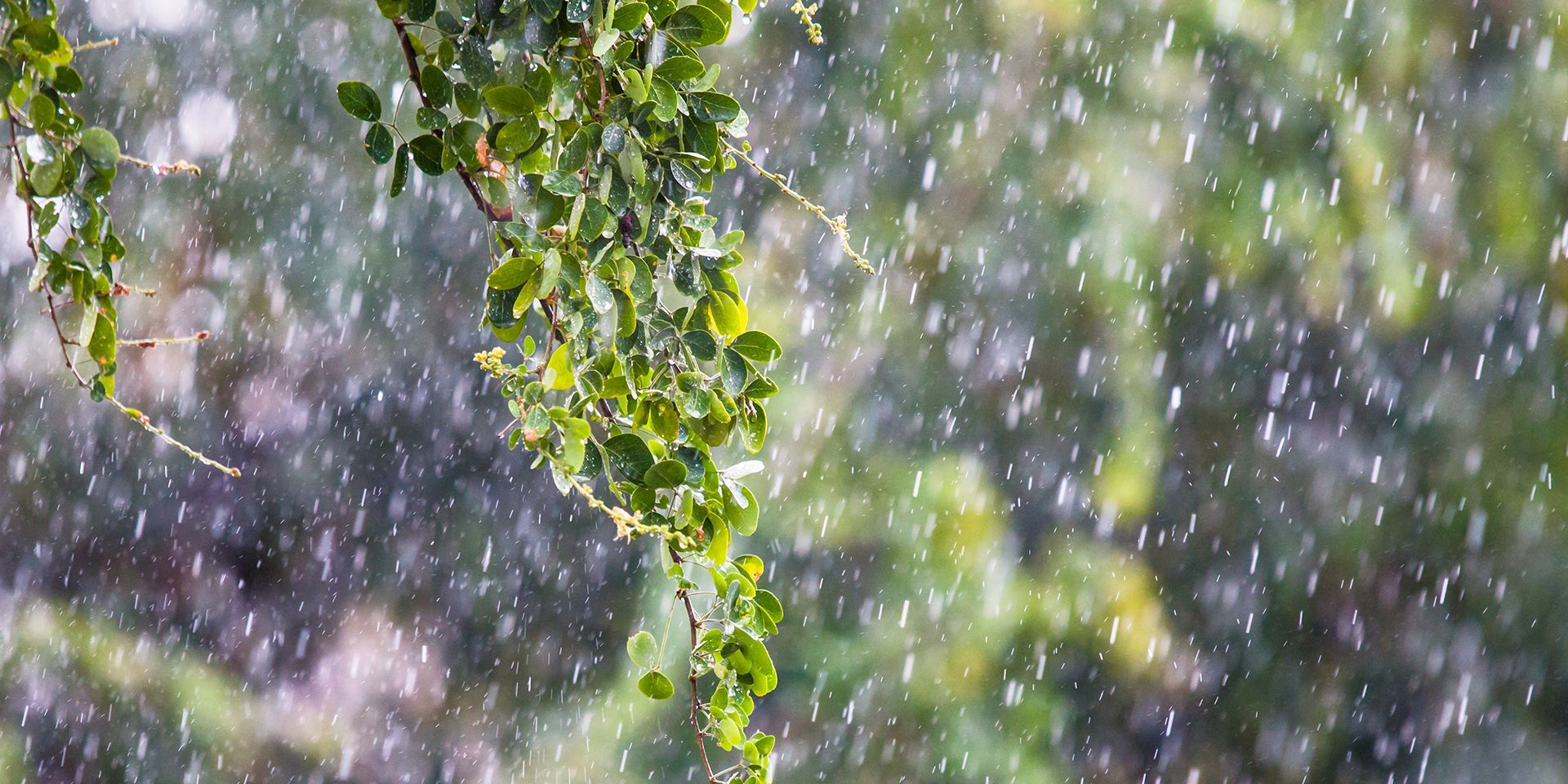 Met Office weather: Rain moving south before a brighter Sunday