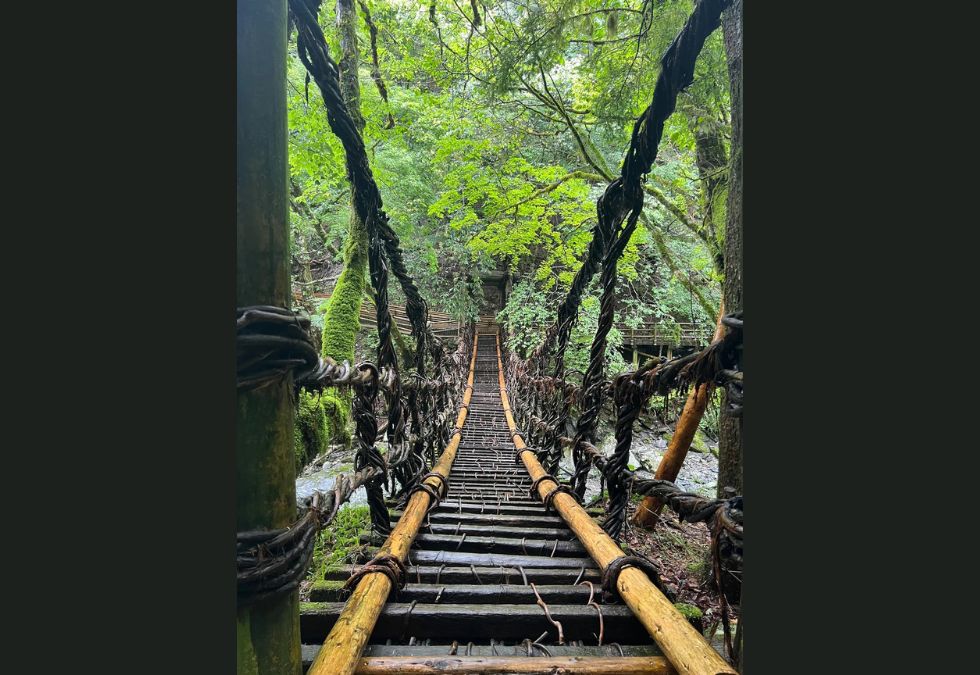 10 rope bridges that look absolutely petrifying