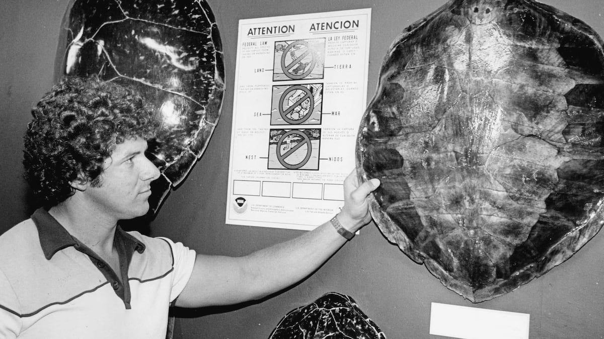 Picture Idea: Dennis Kellenberger Co Founder Of The Clearwater Marine Aquarium Has