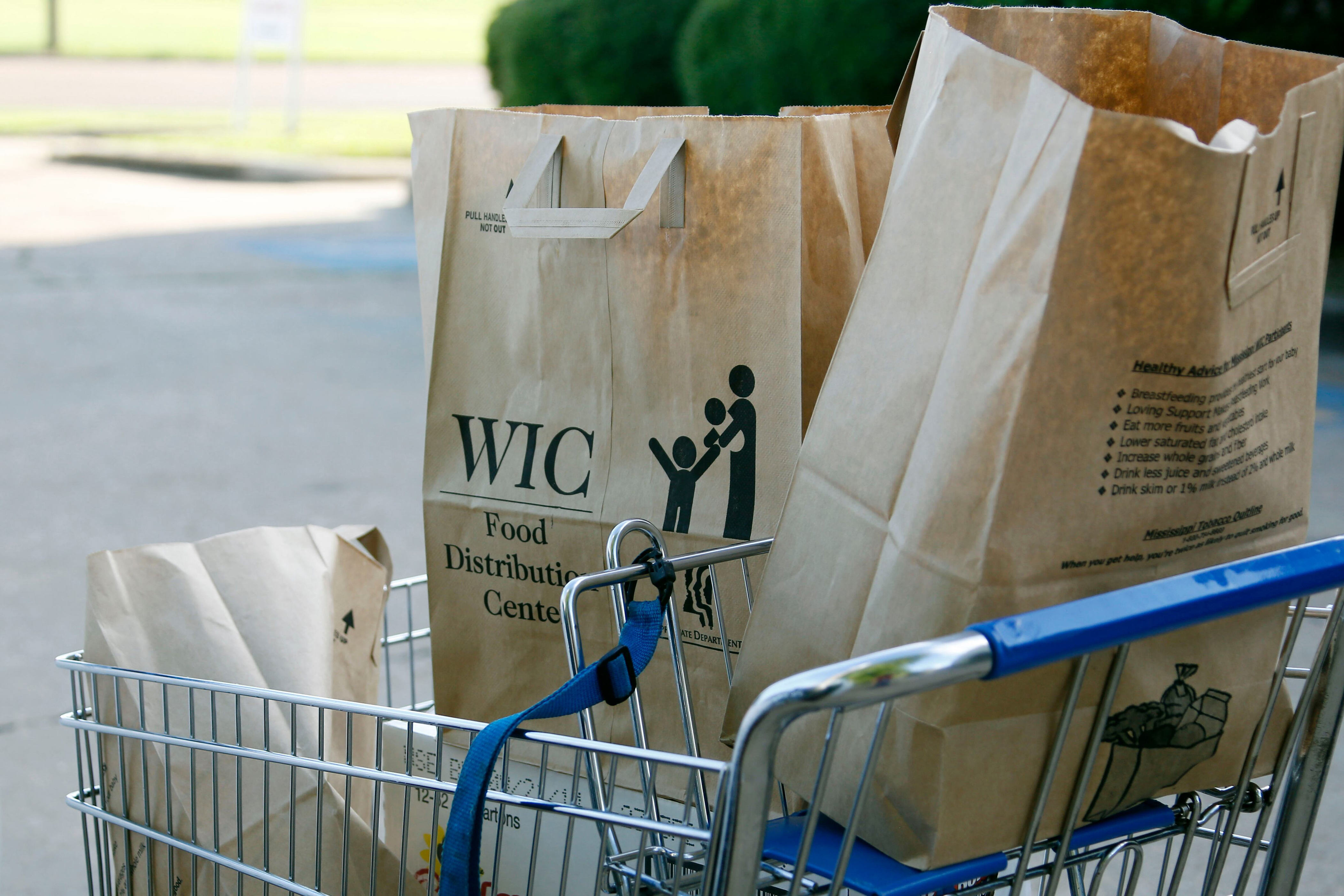 Alabama income guidelines for WIC increase, additional people may qualify