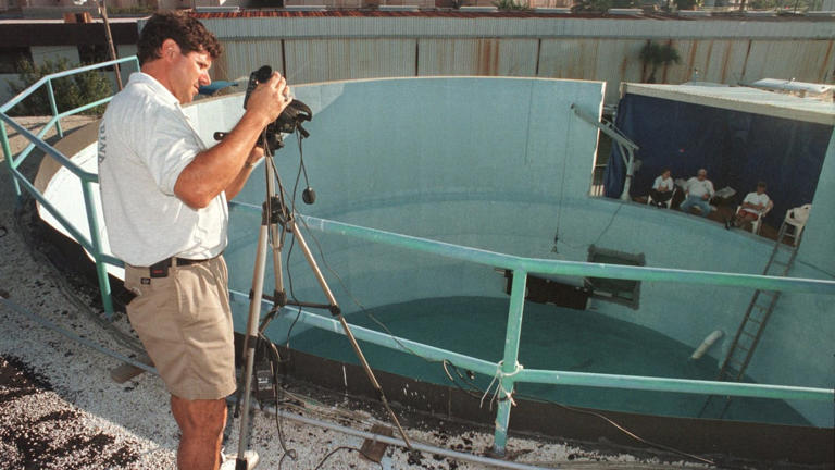 Curated visual reference: Fresh Look at Dennis Kellenberger Co Founder Of The Clearwater Marine Aquarium Has