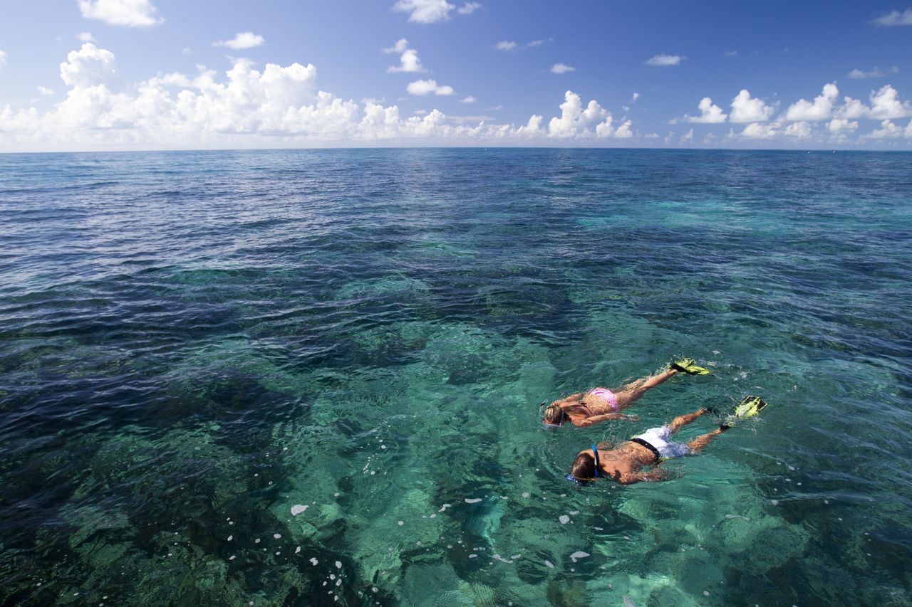 A couple snorkels in the ocean in the Florida Keys.