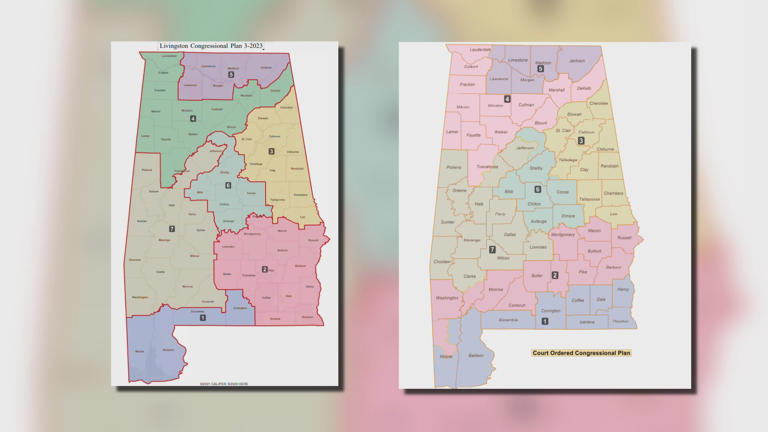 Special primary election: Who’s running—and in which district?