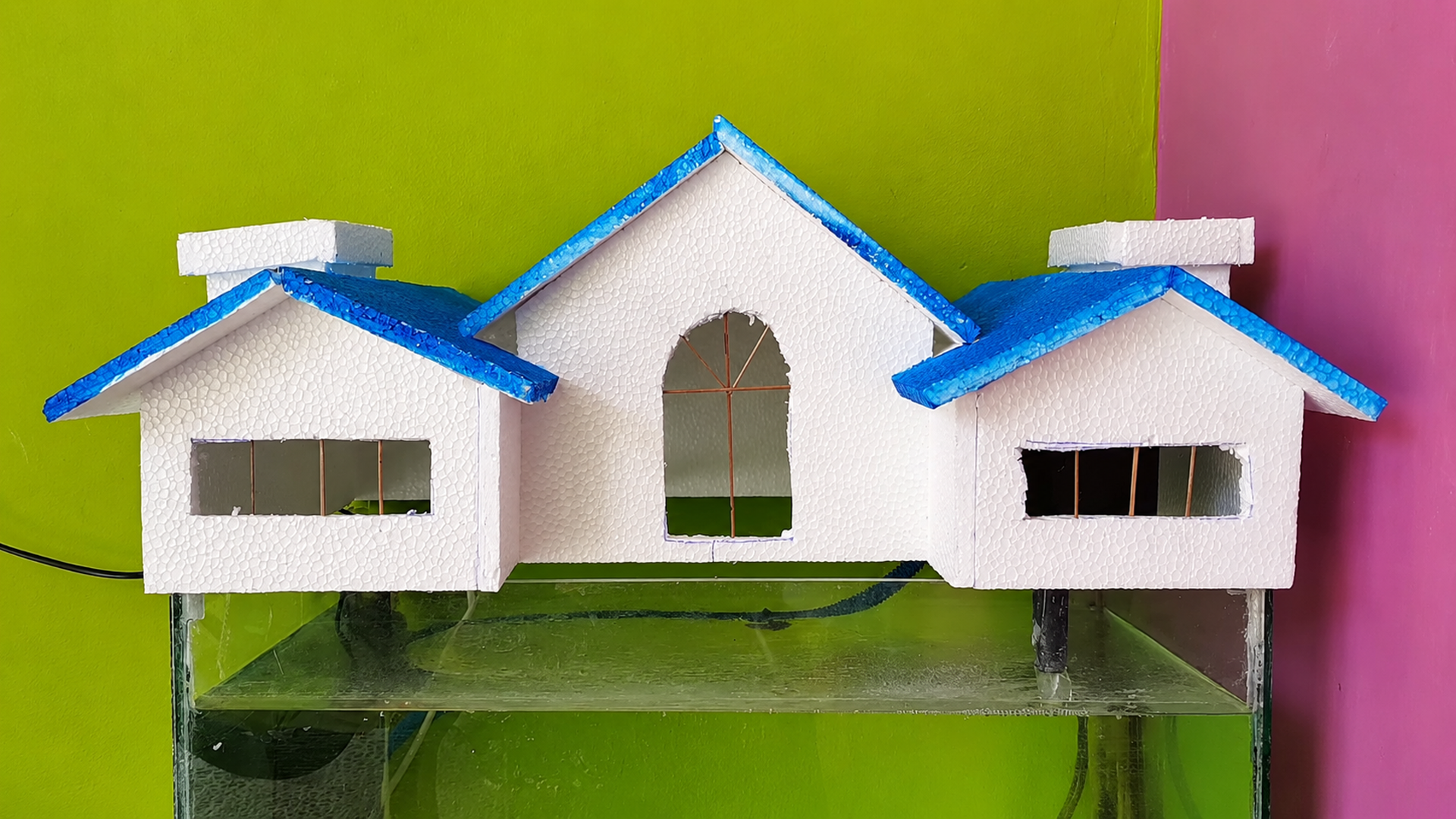 Gallery Detail: Will You Try This Simple Aquarium Project